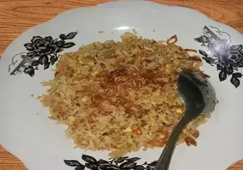 Nasi-Goreng-Biasa